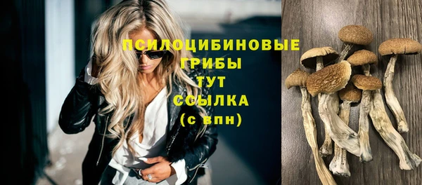 меф Беломорск