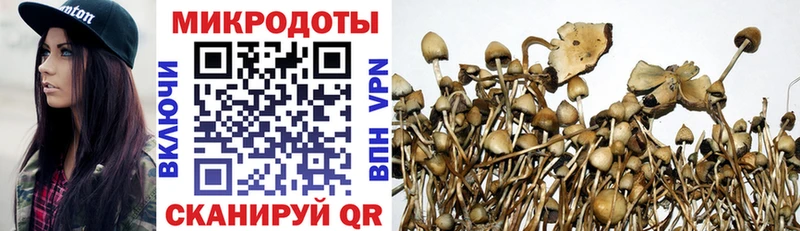 Купить где  Старый Оскол  Псилоцибиновые грибы прущие грибы 